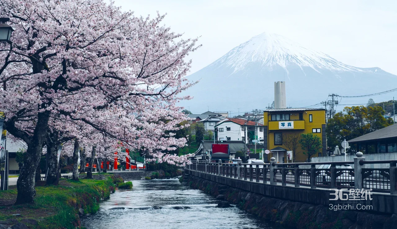 富士山樱花河畔小镇·唯美日系风景壁纸1