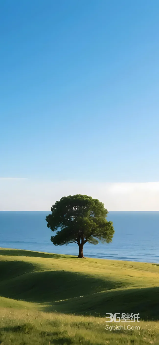 海岸草坡孤树·唯美清新 治愈系自然风景手机壁纸1
