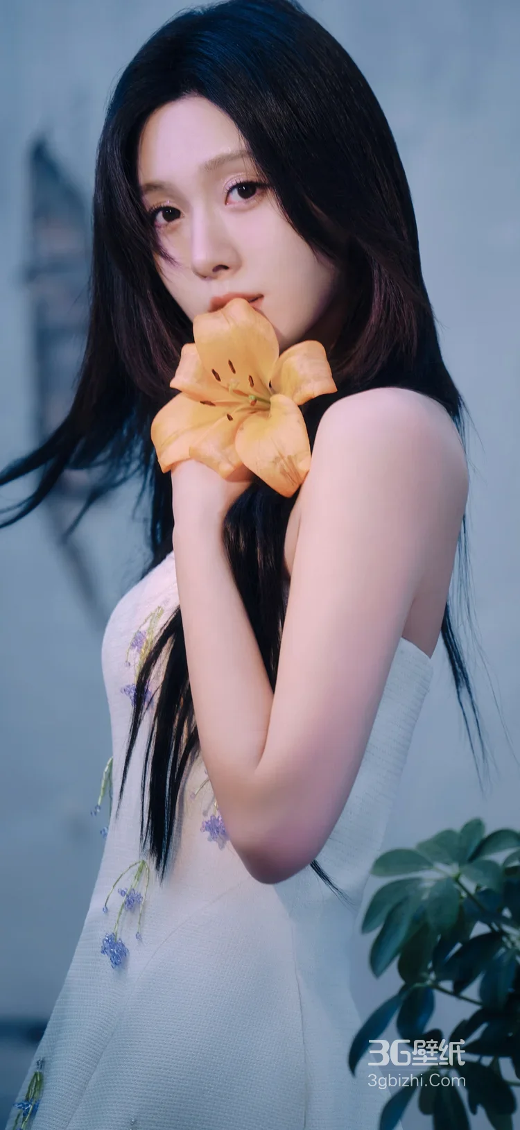 陈意涵·乌黑长发纯白裙 暖光唯美明星写真 时尚大片7