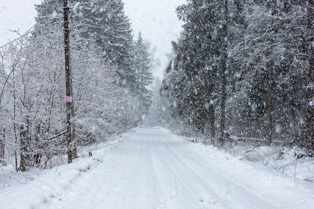 雪林漫雪道路·唯美写实 冬日静谧雪景宽屏电脑壁纸1