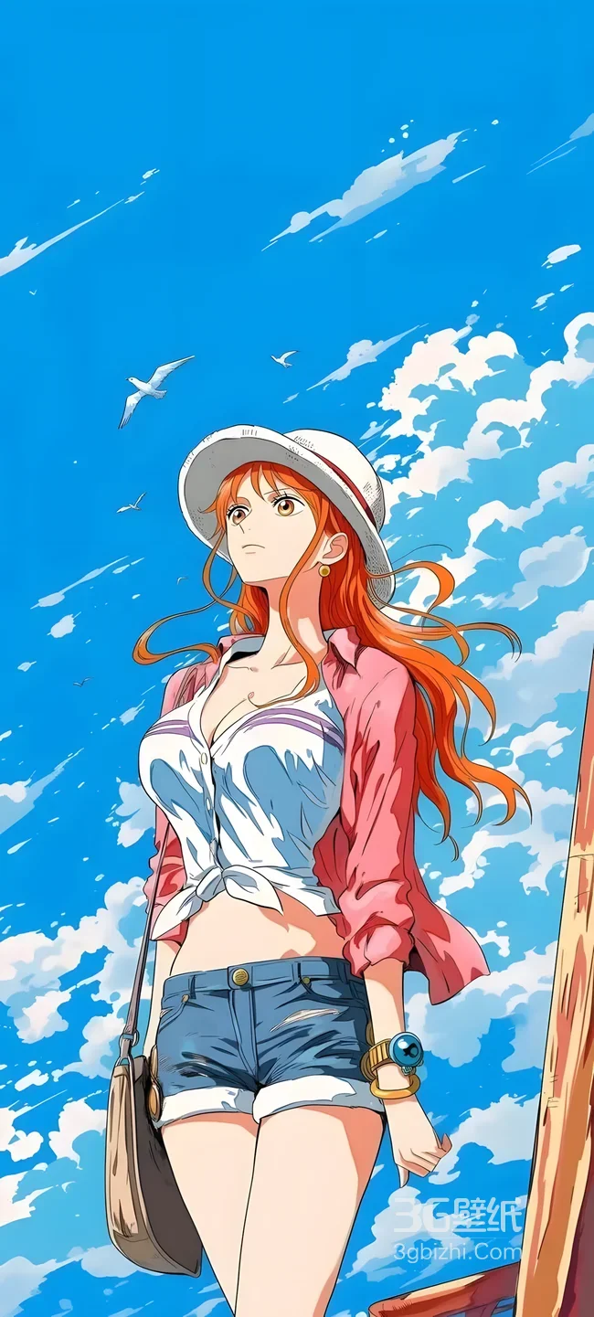 娜美·航海休闲造型 海贼王二次元动漫手机壁纸1