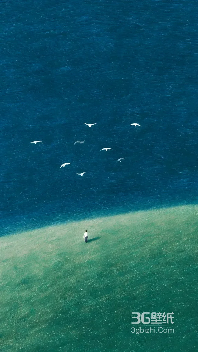 孤人立浅滩群鸟掠蓝海 唯美清新治愈系风景壁纸1