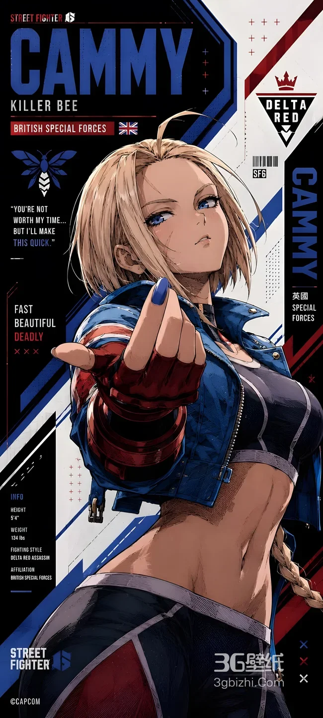 Cammy·Killer Bee 二次元写实《街头霸王6》格斗壁纸 高人气角色壁纸1