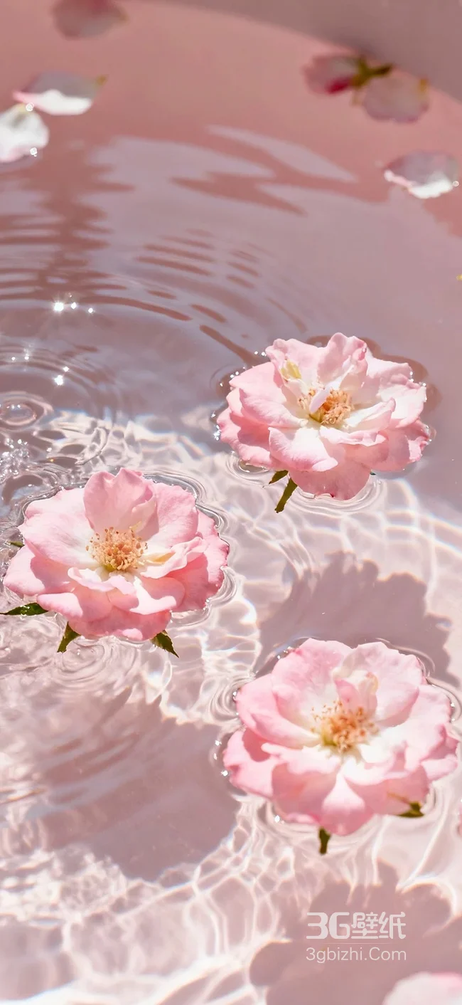 粉色花朵水波纹·唯美清新治愈系手机壁纸1