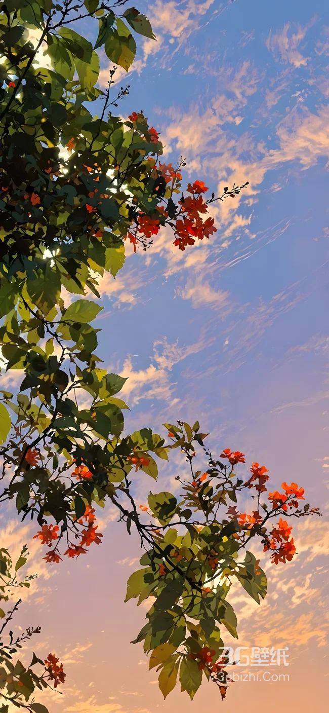 晚霞花枝·唯美自然风 高清手机壁纸1