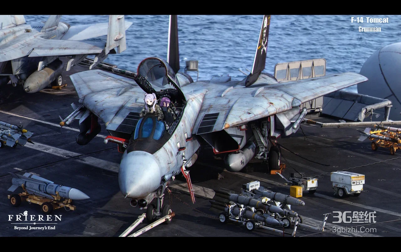 F-14雄猫（格鲁曼）×Frieren二次元 写实军事宽屏壁纸1