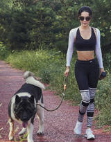 韩丹桐紧身运动装牵着大狗狗户外一起锻炼写真图片