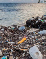 远离塑料污染，以保护海洋环境为主题的成人电影