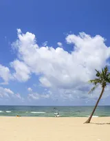 广东广州的南沙大角山海滨公园风景图片