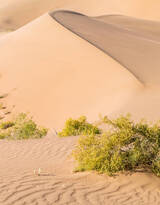 沙漠绿洲敦煌的月牙泉风景图片