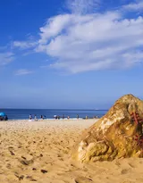 广东广州的南沙大角山海滨公园风景图片