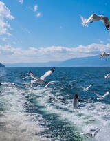 拍摄于云南大理洱海的各个景点风景图片