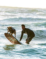 带着宠物狗狗冲浪的欧美型男图片