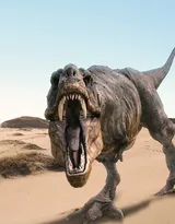 远古恐龙霸王龙，暴龙高清图片