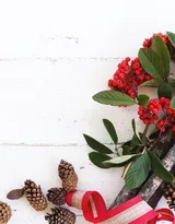 松鼠的美食“松果”的图片