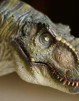 远古恐龙霸王龙，暴龙高清图片