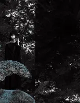 张钧甯《时兴NEArt》杂志写真大片，挑战黑与白时尚又高冷