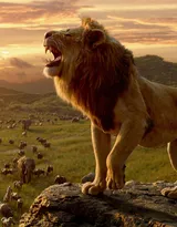 披头散发的雄性狮子图片