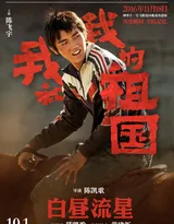 《我和我的祖国》陈凯歌执导篇“白昼流星”单元海报图片