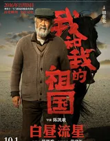 《我和我的祖国》陈凯歌执导篇“白昼流星”单元海报图片