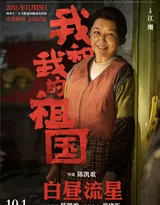 《我和我的祖国》陈凯歌执导篇“白昼流星”单元海报图片