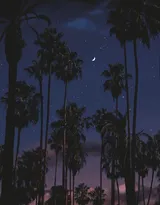 关于黑夜，夜晚的摄影美图，黑夜漫漫，但总值得等待