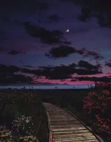 关于黑夜，夜晚的摄影美图，黑夜漫漫，但总值得等待