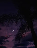 关于黑夜，夜晚的摄影美图，黑夜漫漫，但总值得等待