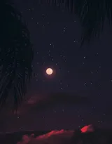 关于黑夜，夜晚的摄影美图，黑夜漫漫，但总值得等待