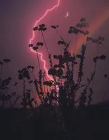 关于黑夜，夜晚的摄影美图，黑夜漫漫，但总值得等待