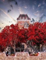 加拿大魁北克的秋日景色，入目皆是满眼的红色枫叶