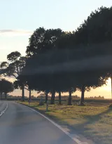 欧洲平原上的高速公路唯美图片