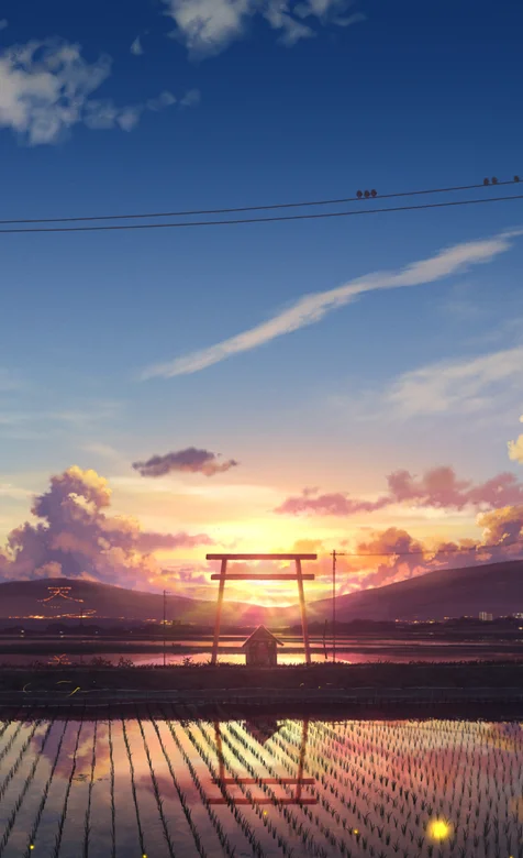 稻田上的唯美夕阳风景手机壁纸 – 高清 桌面壁纸 开放版权素材 免费下载 手机电脑通用背景图