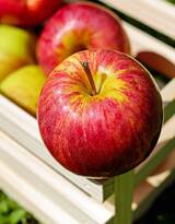 红苹果，一个苹果，几本书，唯美苹果摄影图片