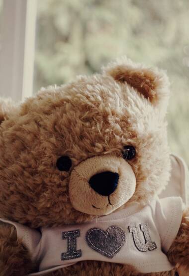 各种各样的可爱毛绒玩具熊，抱抱熊图片