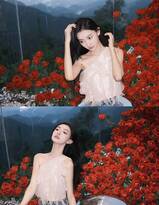  女星金佳悦白衫牛仔裤穿搭在玫瑰花丛中美拍照片