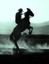 骑马训马的欧洲牛仔图片
