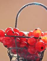 果实成串的紅醋栗搭配各种甜点水果高清好看图片
