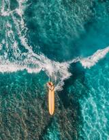 海洋中滑板冲浪的人们户外运动超美图片