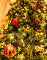 圣诞树图片，装饰的很漂亮的圣诞树，松树图片