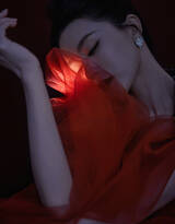 香港女星文咏珊明艳动人红裙礼服超美写真，蛇与花的缠绕，别有一番热情似火般的神秘气质
