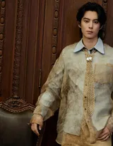  王鹤棣浅棕晕染衬衫复古优雅，清俊有型写真图片