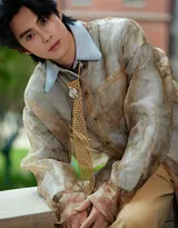  王鹤棣浅棕晕染衬衫复古优雅，清俊有型写真图片