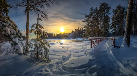 北欧银白雪林日落红桥·唯美写实·冬季雪景宽屏电脑壁纸 – 高清 桌面壁纸 开放版权素材 免费下载 手机电脑通用背景图