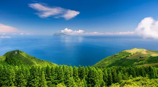 蓝海绿林孤岛·唯美自然风景 宽屏电脑壁纸 – 高清 桌面壁纸 开放版权素材 免费下载 手机电脑通用背景图