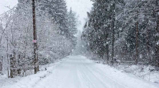 雪林漫雪道路·唯美写实 冬日静谧雪景宽屏电脑壁纸