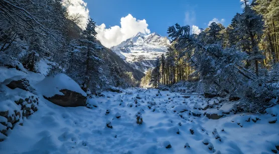 雪山森林雪景·唯美写实 冬日山脉电脑壁纸