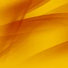 黄色类、黄色的图片